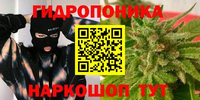 Альфа ПВП Берёзовский