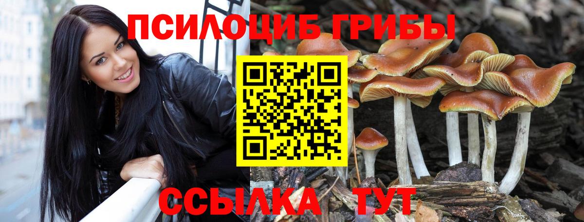 Псилоцибиновые грибы GOLDEN TEACHER  Галлюциногенные грибы MAGIC MUSHROOMS  Ивантеевка  Вход с VPN 